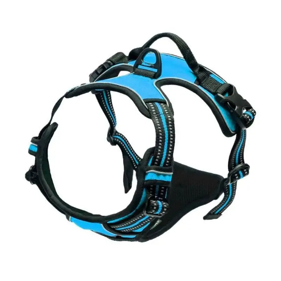 Adjustable Dog Harness, Collar & Leash Set