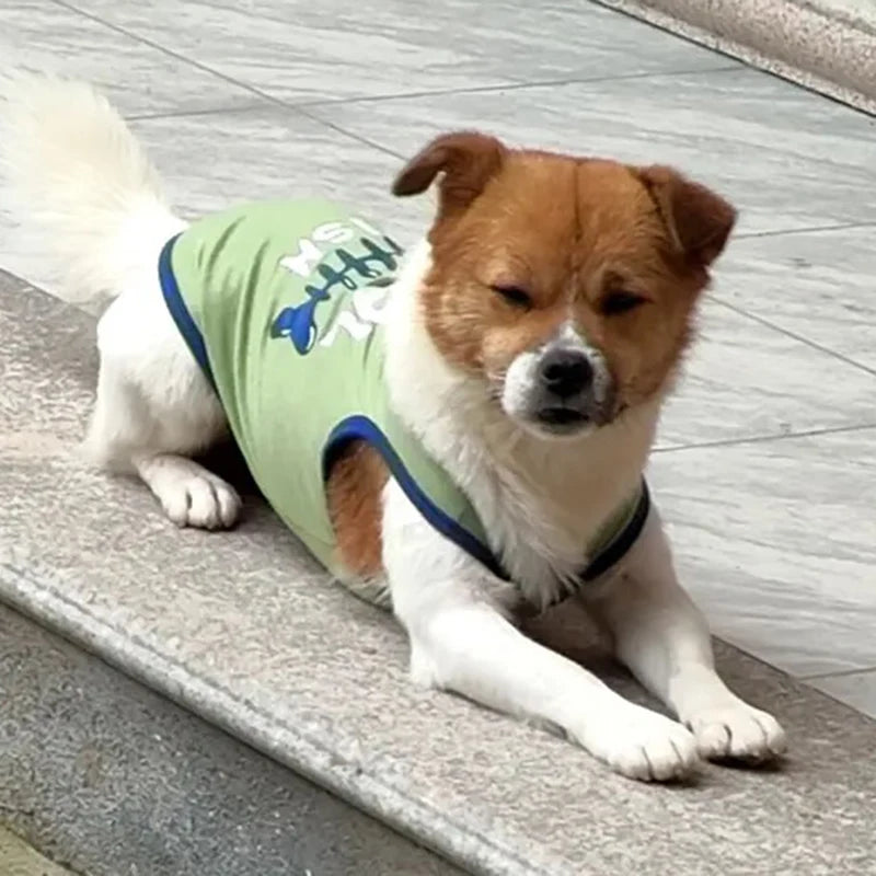 Summer Cotton Pet Vest T-Shirt for Dogs & Cats