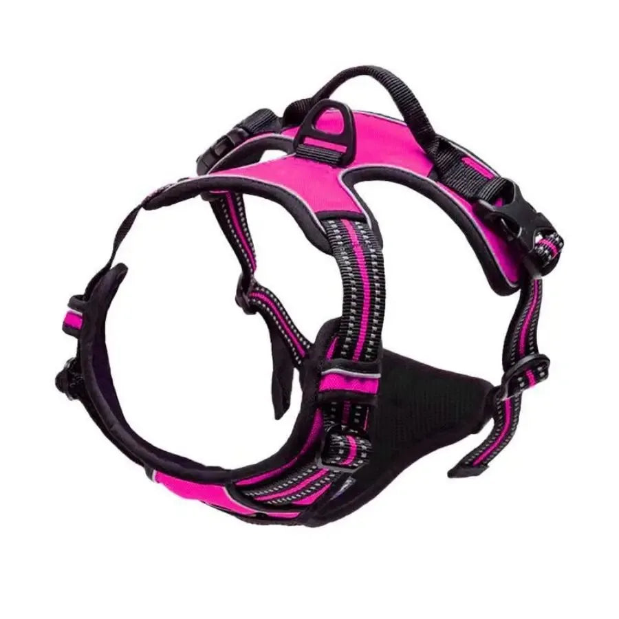 Adjustable Dog Harness, Collar & Leash Set