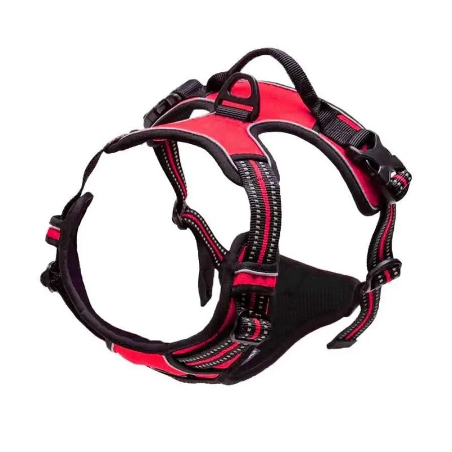 Adjustable Dog Harness, Collar & Leash Set