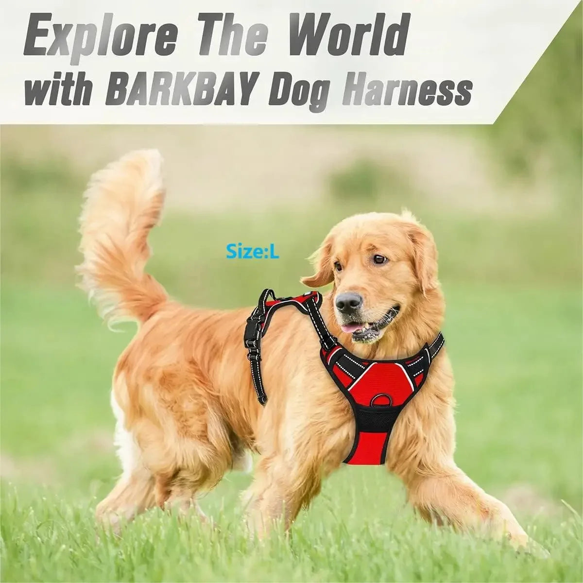 Adjustable Dog Harness, Collar & Leash Set