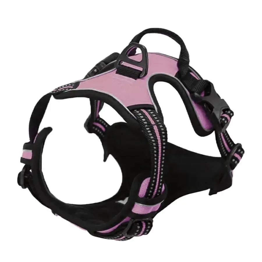Adjustable Dog Harness, Collar & Leash Set