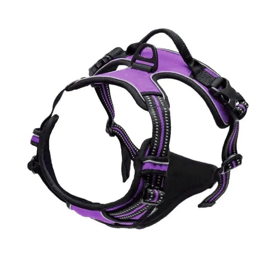 Adjustable Dog Harness, Collar & Leash Set