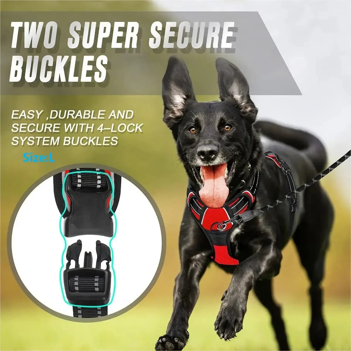 Adjustable Dog Harness, Collar & Leash Set