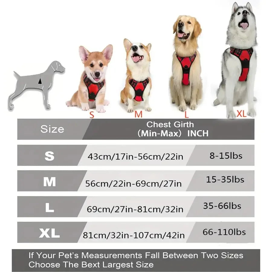 Adjustable Dog Harness, Collar & Leash Set