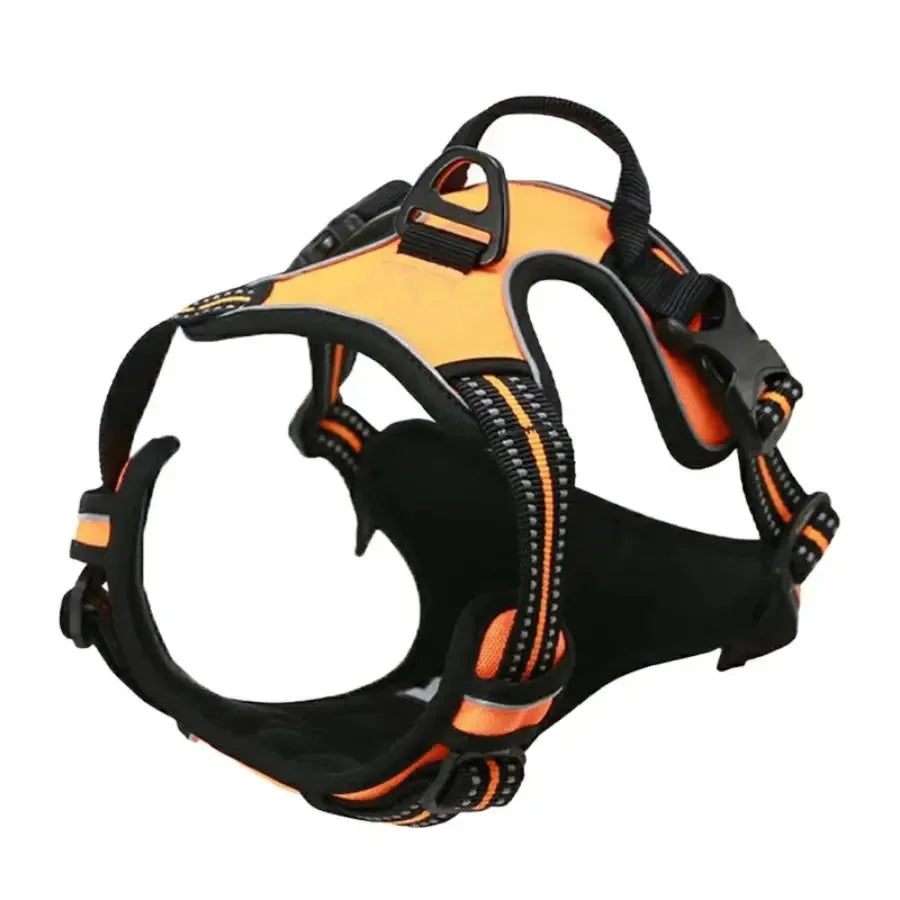 Adjustable Dog Harness, Collar & Leash Set