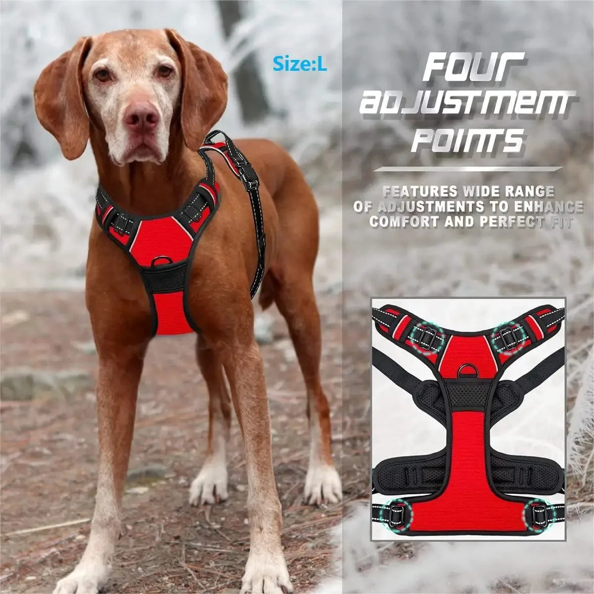 Adjustable Dog Harness, Collar & Leash Set