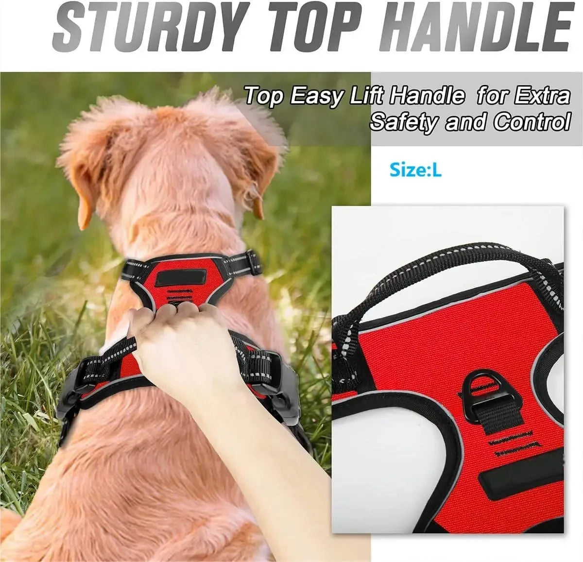 Adjustable Dog Harness, Collar & Leash Set
