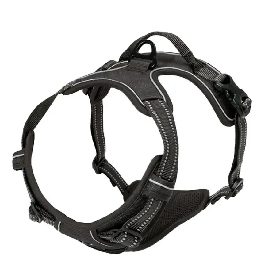 Adjustable Dog Harness, Collar & Leash Set